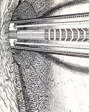 Skiing in centrifugal gravity